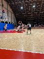 https://www.basketmarche.it/immagini_articoli/01-05-2024/playoff-vuelle-pesaro-ribalta-quarto-pareggia-conti-pesaro-basket-120.jpg