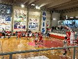 https://www.basketmarche.it/immagini_articoli/02-03-2024/basket-gualdo-batte-nettamente-pallacanestro-urbania-120.jpg