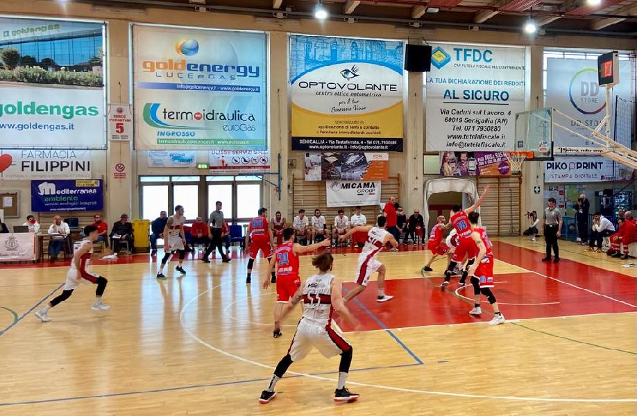 https://www.basketmarche.it/immagini_articoli/02-04-2023/pallacanestro-senigallia-regola-volata-flying-balls-ozzano-600.jpg