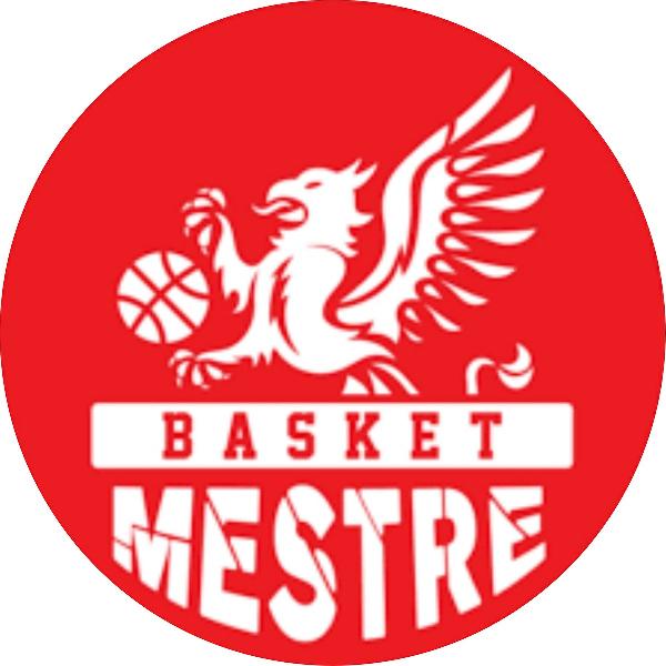 https://www.basketmarche.it/immagini_articoli/02-06-2023/finale-basket-mestre-supera-orzinuovi-dopo-supplementare-600.jpg