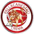 https://www.basketmarche.it/immagini_articoli/03-03-2021/recupero-pallacanestro-crema-espugna-campo-green-basket-palermo-120.jpg