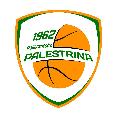 https://www.basketmarche.it/immagini_articoli/04-06-2019/serie-playoff-pallacanestro-palestrina-porta-cestistica-severo-gara-120.jpg
