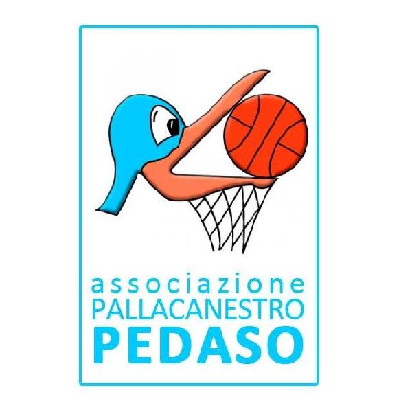 https://www.basketmarche.it/immagini_articoli/05-01-2022/pallacanestro-pedaso-sospende-allenamenti-partite-fino-gennaio-600.jpg