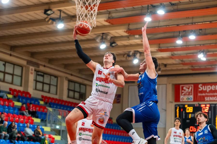 https://www.basketmarche.it/immagini_articoli/05-04-2025/pallacanestro-senigallia-supera-senza-problemi-centro-basket-mondragone-600.jpg