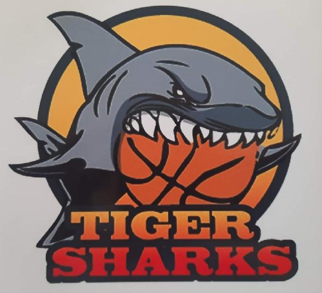 https://www.basketmarche.it/immagini_articoli/05-11-2023/esordio-vittoria-tiger-sharks-battuto-aquila-600.jpg