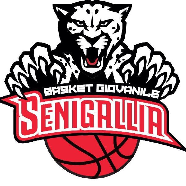 https://www.basketmarche.it/immagini_articoli/06-04-2019/coppa-marche-basket-giovanile-senigallia-supera-perugia-basket-600.jpg