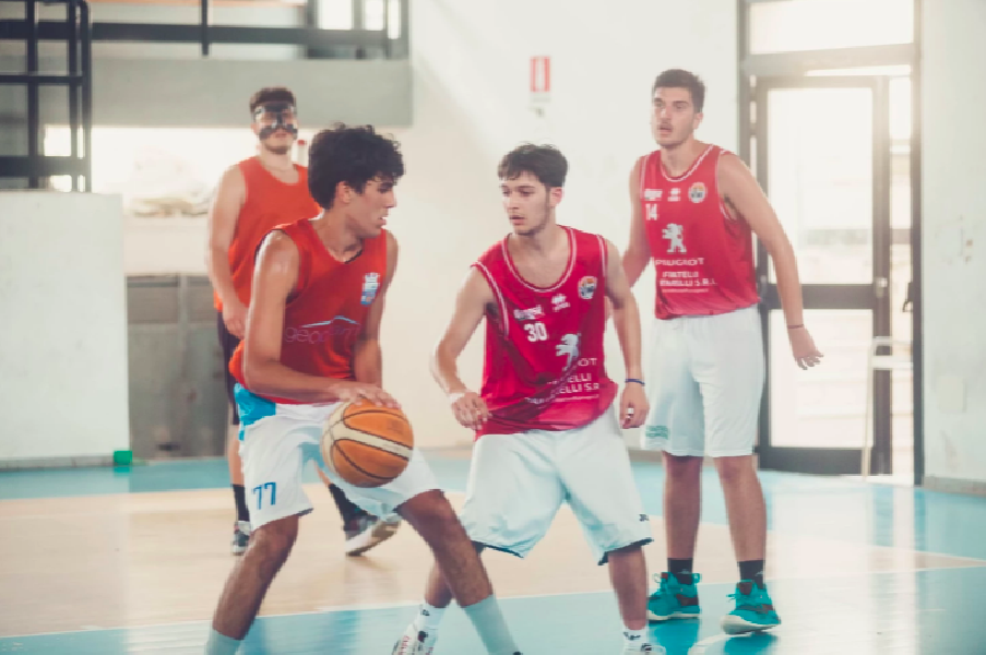 https://www.basketmarche.it/immagini_articoli/06-08-2021/ufficiale-mattia-salerno-mola-basket-2012-600.png