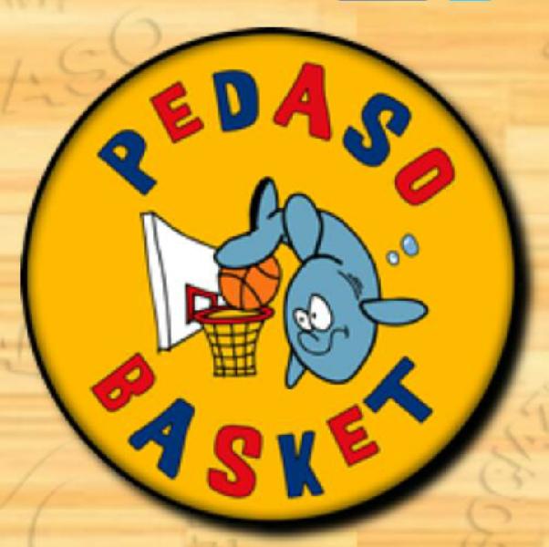 https://www.basketmarche.it/immagini_articoli/07-03-2023/pedaso-basket-aggiudica-recupero-picchio-civitanova-600.jpg