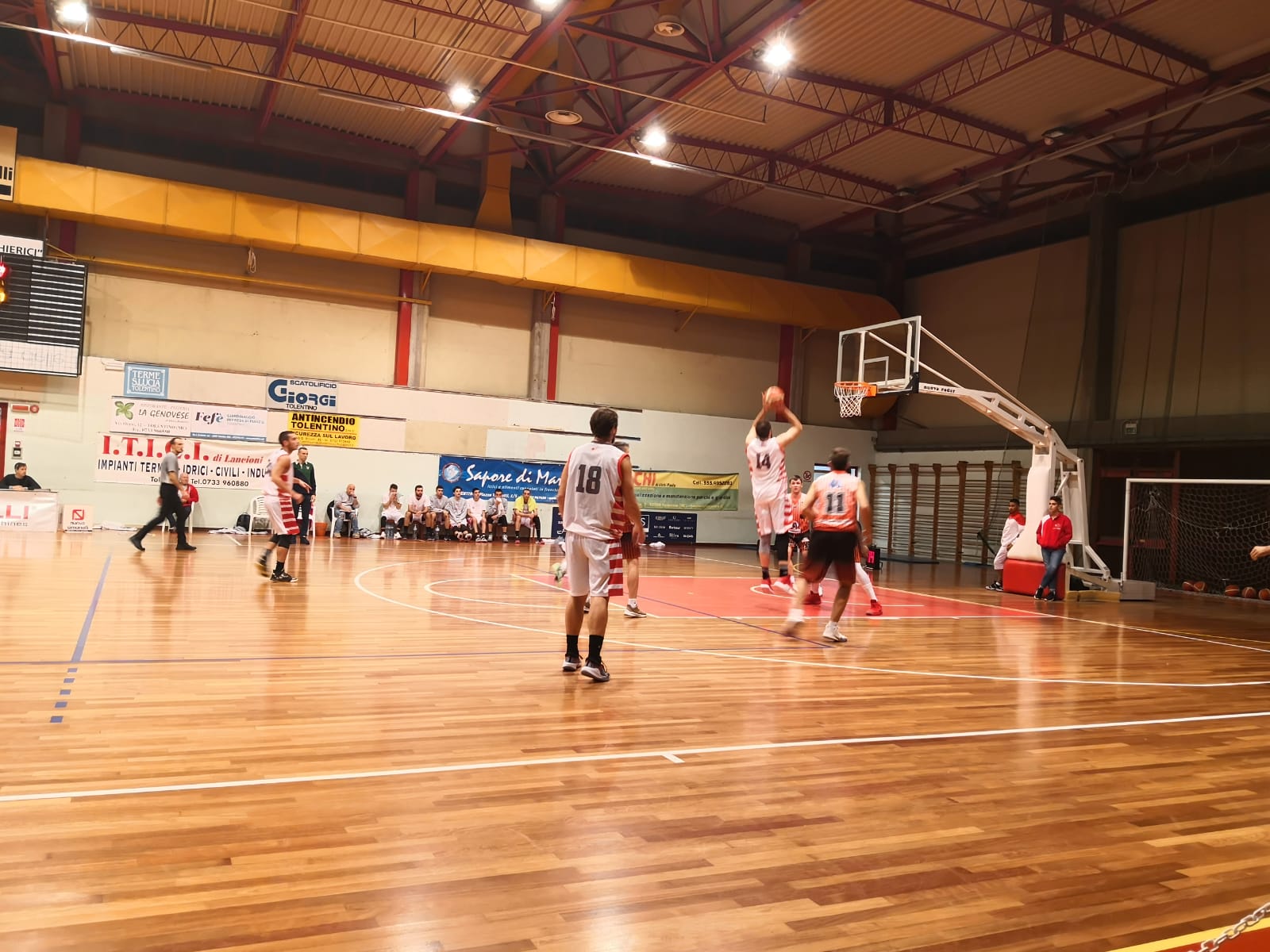 Il Basket Tolentino viene fuori nel secondo tempo e doma il Basket Gualdo - Serie C Silver Girone Marche-Umbria - Basketmarche.it