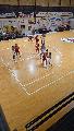 https://www.basketmarche.it/immagini_articoli/10-10-2026/1791656494-407-.jpeg