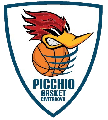 https://www.basketmarche.it/immagini_articoli/11-05-2024/playoff-picchio-civitanova-primo-derby-feba-120.png