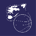 https://www.basketmarche.it/immagini_articoli/12-04-2025/1744494150-473-.png
