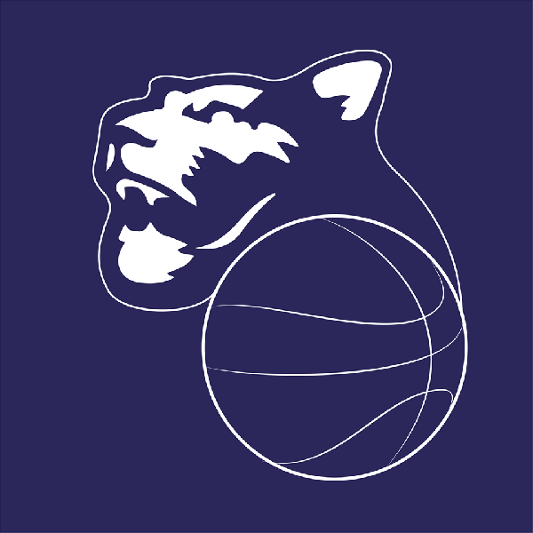 https://www.basketmarche.it/immagini_articoli/12-04-2025/panthers-roseto-espugnano-campo-feba-civitanova-600.png