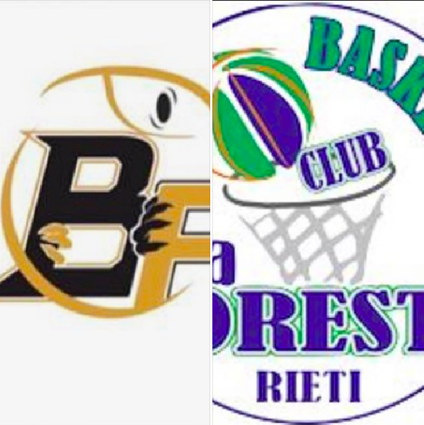 https://www.basketmarche.it/immagini_articoli/12-09-2019/babadook-friends-foresta-rieti-fondono-creano-babadook-foresta-rieti-600.png