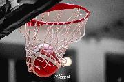 https://www.basketmarche.it/immagini_articoli/13-02-2025/1739449759-72-.jpeg