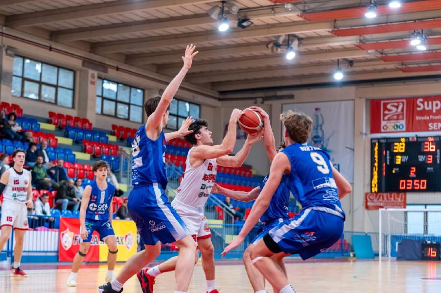 https://www.basketmarche.it/immagini_articoli/13-04-2025/pallacanestro-senigallia-dilaga-tempo-pescara-basket-600.jpg