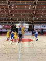 https://www.basketmarche.it/immagini_articoli/14-02-2020/under-elite-bella-vittoria-pesaro-janus-fabriano-120.jpg