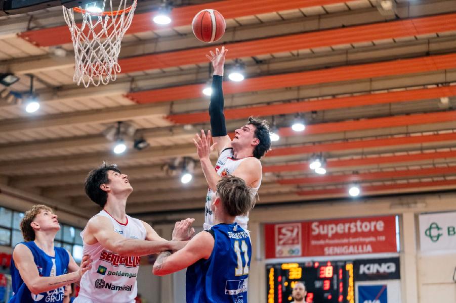 https://www.basketmarche.it/immagini_articoli/14-04-2025/pallacanestro-senigallia-supera-senza-problemi-pescara-basket-passo-salvezza-600.jpg