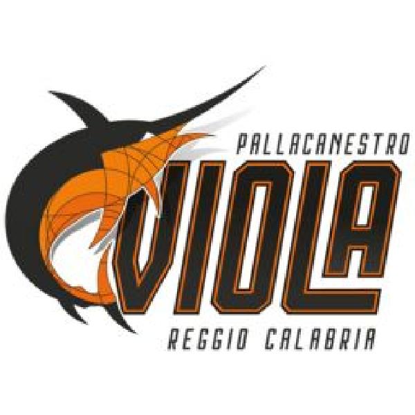 https://www.basketmarche.it/immagini_articoli/16-07-2022/viola-reggio-calabria-disappunto-composizione-gironi-convocati-urgenza-soci-600.jpg