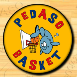 https://www.basketmarche.it/immagini_articoli/18-10-2017/promozione-d-il-roster-completo-del-pedaso-basket-270.png