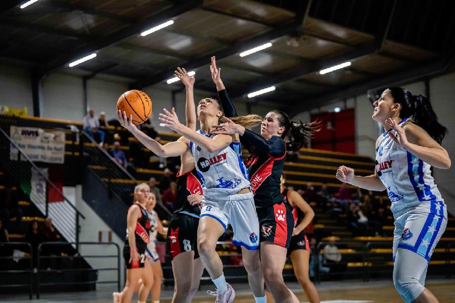 https://www.basketmarche.it/immagini_articoli/19-04-2025/playoff-thunder-matelica-pronta-prima-sfida-jolly-acli-livorno-600.jpg