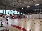 https://www.basketmarche.it/immagini_articoli/19-05-2024/playout-virtus-assisi-festeggia-salvezza-basket-tolentino-retrocede-120.jpg