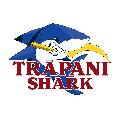 https://www.basketmarche.it/immagini_articoli/19-09-2023/supercoppa-trapani-sharks-espugna-campo-pallacanestro-trieste-final-four-120.jpg