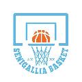 https://www.basketmarche.it/immagini_articoli/20-05-2024/senigallia-basket-2020-coach-galli-usciamo-testa-altissima-dopo-gare-molto-combattute-120.jpg