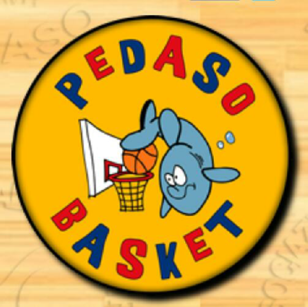https://www.basketmarche.it/immagini_articoli/21-04-2022/recupero-pedaso-basket-sfida-basket-macerata-600.png
