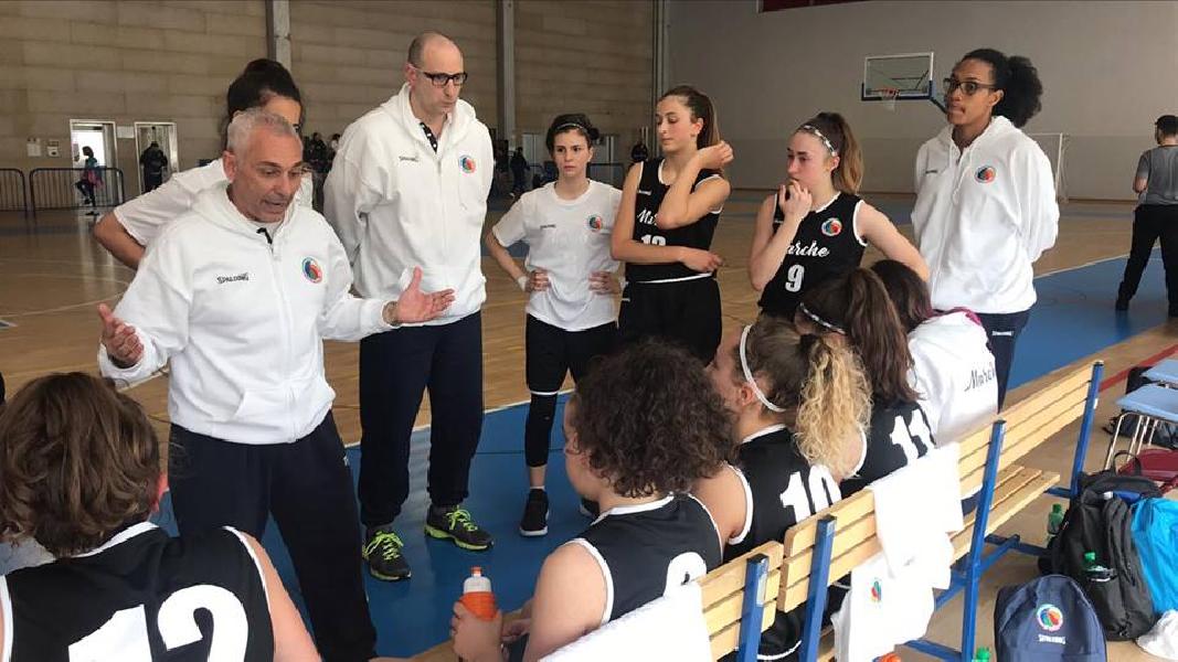 https://www.basketmarche.it/immagini_articoli/21-07-2023/ufficiale-luca-paolasini-allenatore-basket-girls-ancona-600.jpg