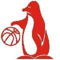 https://www.basketmarche.it/immagini_articoli/22-10-2026/adriatico-ancona-espugna-campo-1992-polverigi-basket-120.jpg