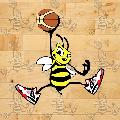 https://www.basketmarche.it/immagini_articoli/23-10-2026/1792730904-466-.jpeg