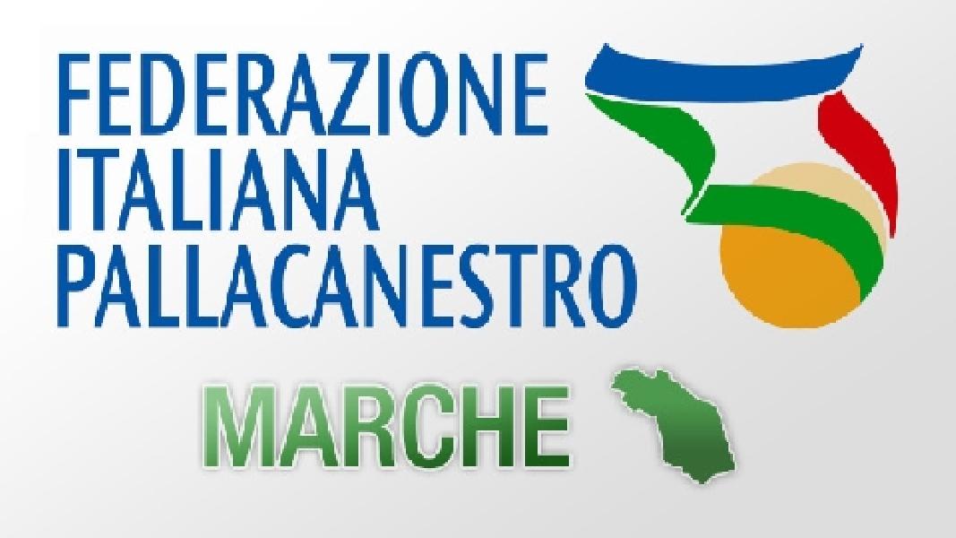 https://www.basketmarche.it/immagini_articoli/24-05-2019/regionale-decisioni-giudice-sportivo-dopo-gara-porto-potenza-fermo-squalificato-600.jpg