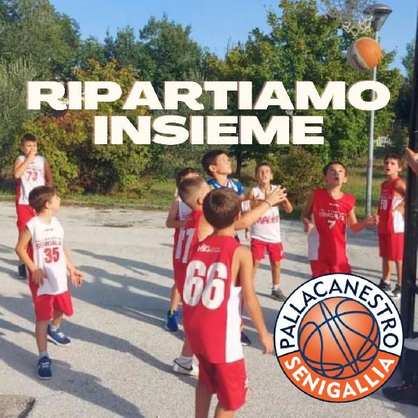 https://www.basketmarche.it/immagini_articoli/27-09-2022/pallacanestro-senigallia-ripartono-attivit-settore-giovanile-600.jpg