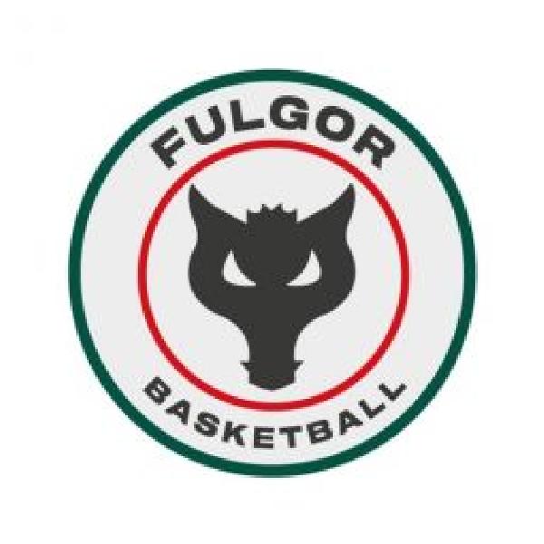 https://www.basketmarche.it/immagini_articoli/30-03-2024/fulgor-omegna-doma-finale-pallacanestro-piacentina-600.jpg