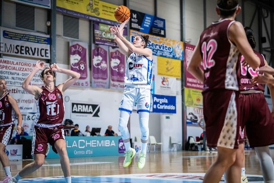 https://www.basketmarche.it/immagini_articoli/30-04-2025/playoff-thunder-matelica-vola-semifinale-jolly-acli-basket-livorno-sconfitto-gara-600.jpg